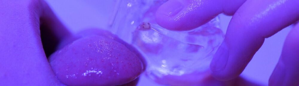 Yo si fueras un animal que animal serias?